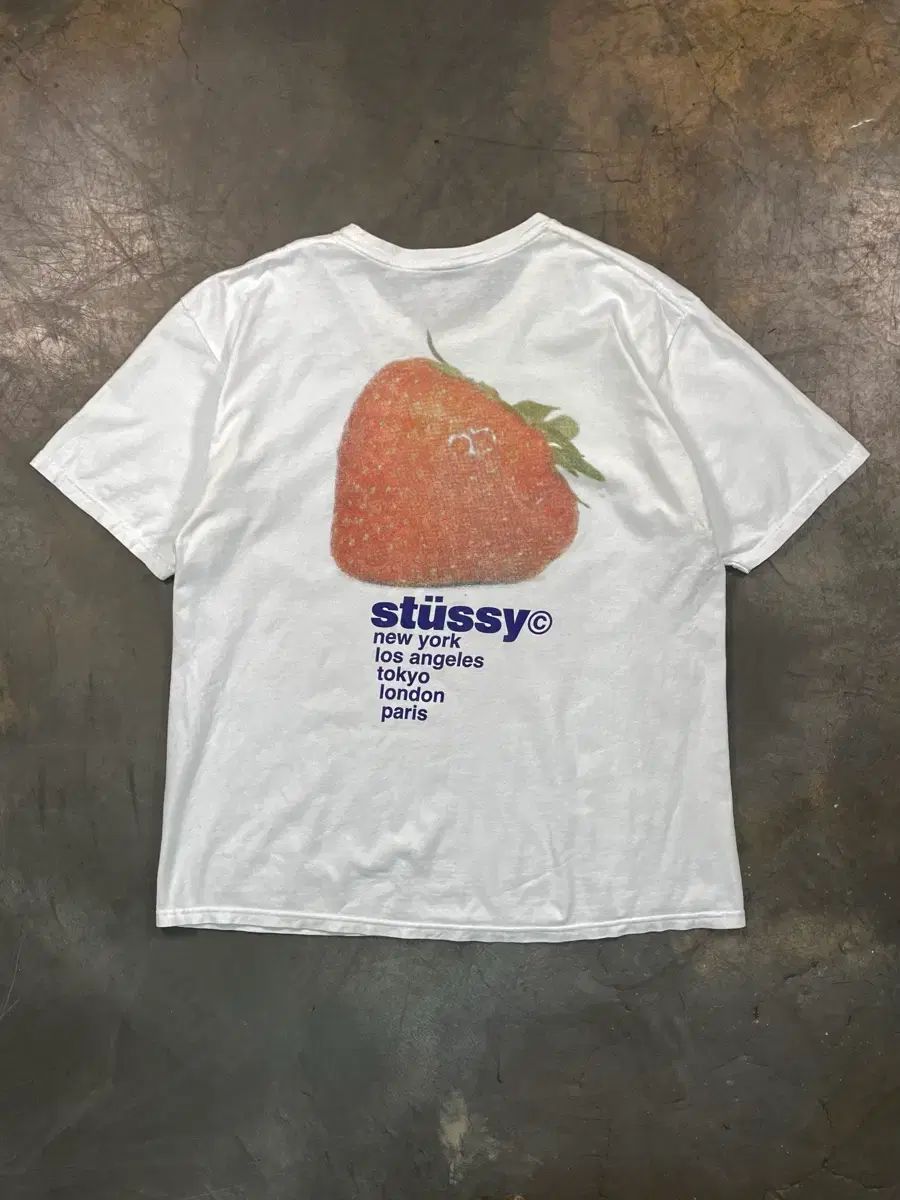 STUSSY ストロベリー 半袖 Tシャツ