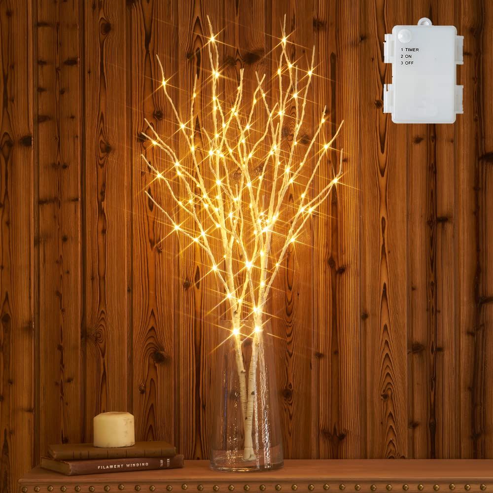 Hairui 白樺 100LED 枝 80cm イルミネーション 電池式 間接照明 ブランチツリー ストリングライト オシャレ 北欧風 タイマー機能 防水 白(花瓶が含まない)koe b3c059d9