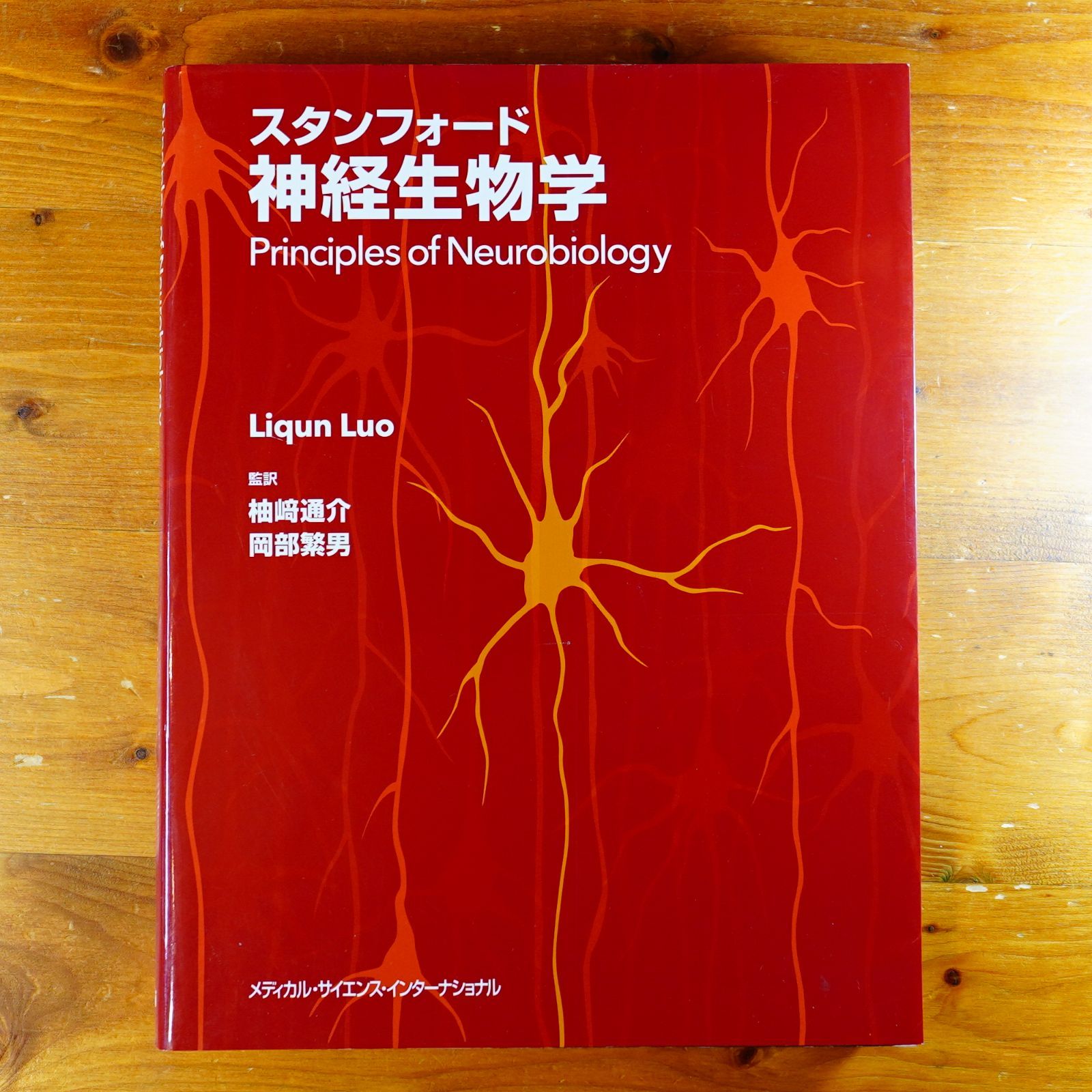 スタンフォード神経生物学 d2605