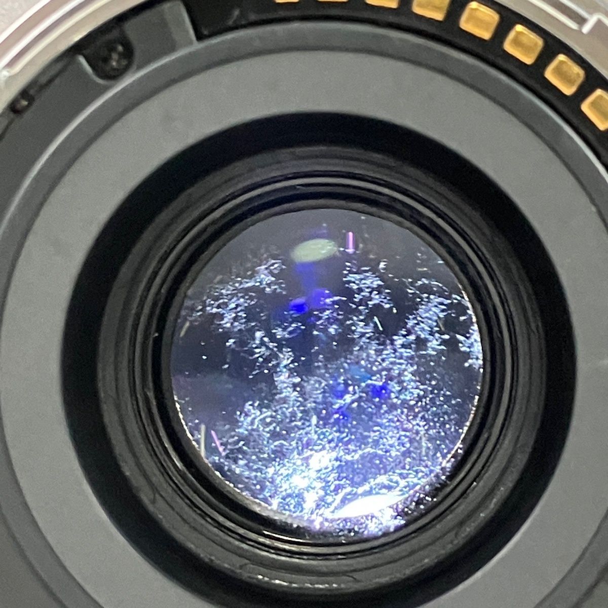 ソニー SONY Sonnar T* E 24mm F1.8 ZA SEL24F18Z 一眼カメラ用レンズ