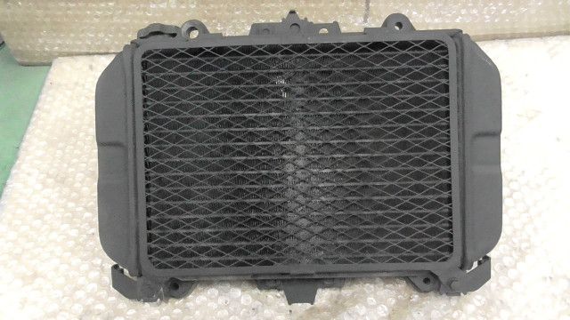 KLE250 アネーロ　LE250A-004xxx　の　ラジエター:#1778809601