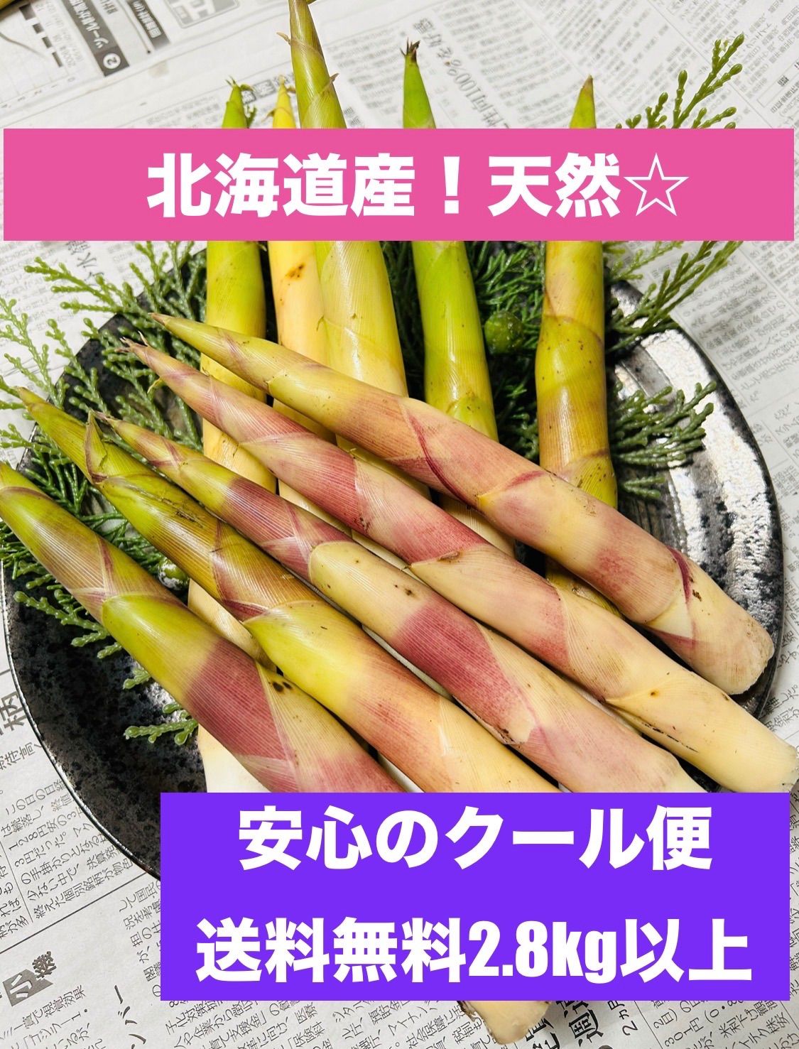 安心のクール便☆北海道産天然根曲り竹！大容量4.8kg以上☆