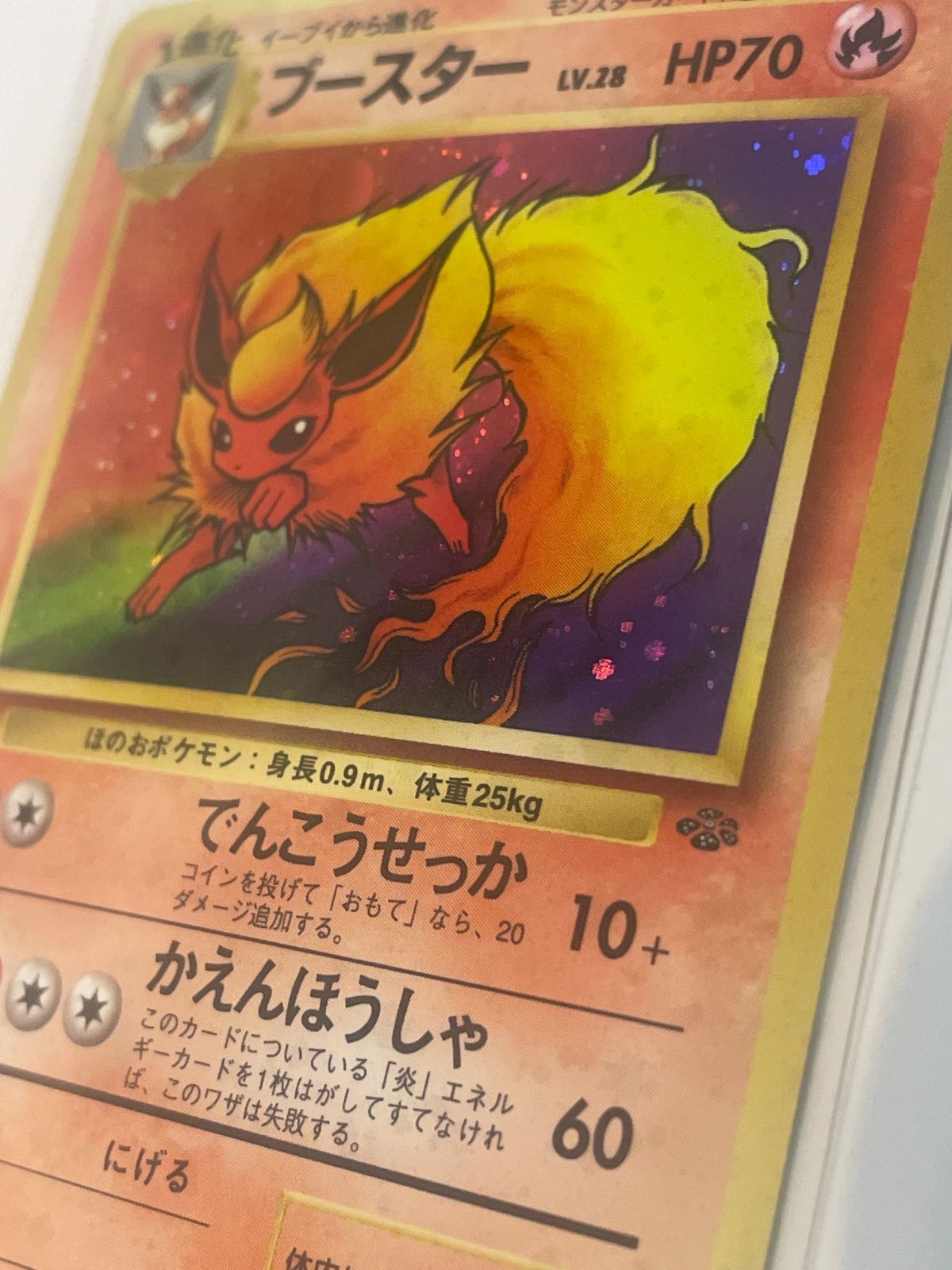 値下げ】ブースター 旧裏☆第2弾拡張パック ポケモンジャングル - メルカリ