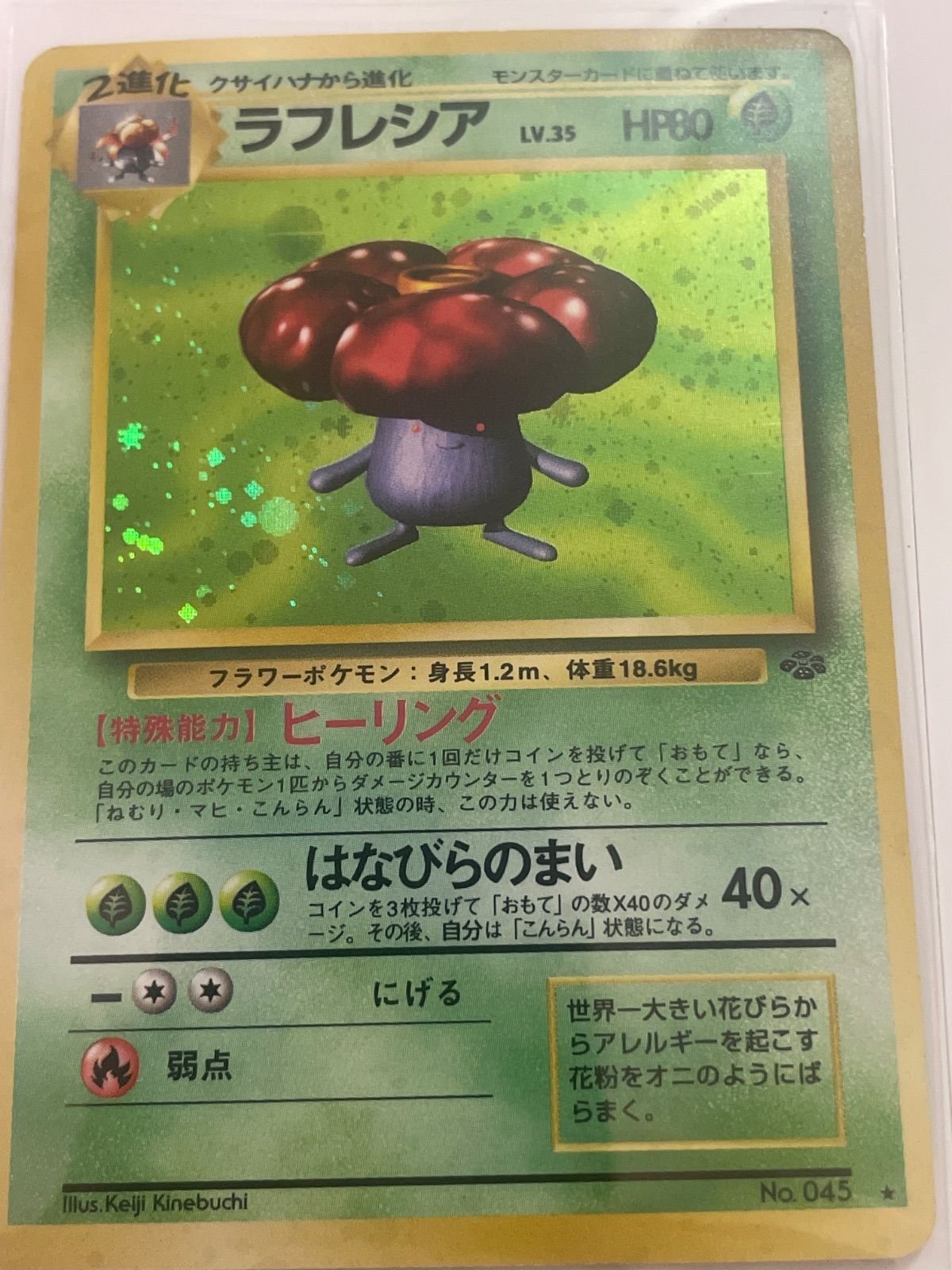ラフレシア 旧裏 ポケモンジャングル 【十字ホロ＋大玉ホロ】 - メルカリ