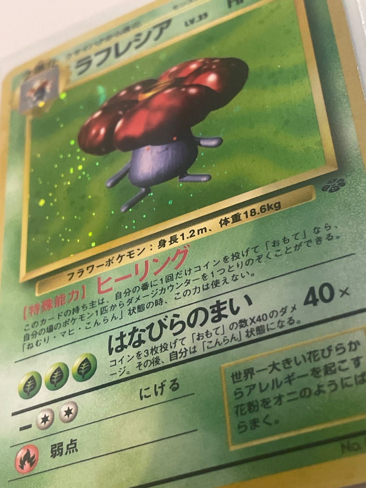 ラフレシア 旧裏 ポケモンジャングル 【十字ホロ＋大玉ホロ】 - メルカリ