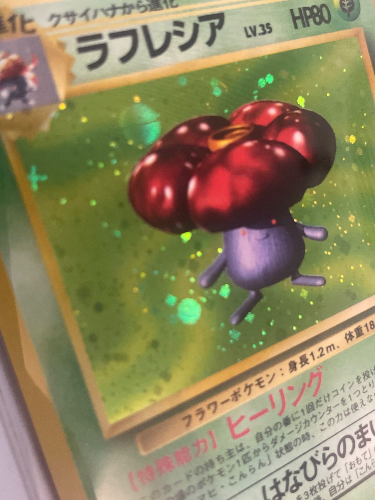 ラフレシア 旧裏 ポケモンジャングル 【十字ホロ＋大玉ホロ】 - メルカリ