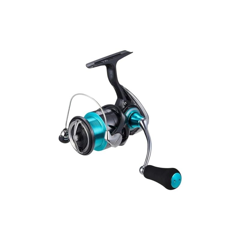 ダイワ(DAIWA) エギング専用リール 24エメラルダス X LT2500