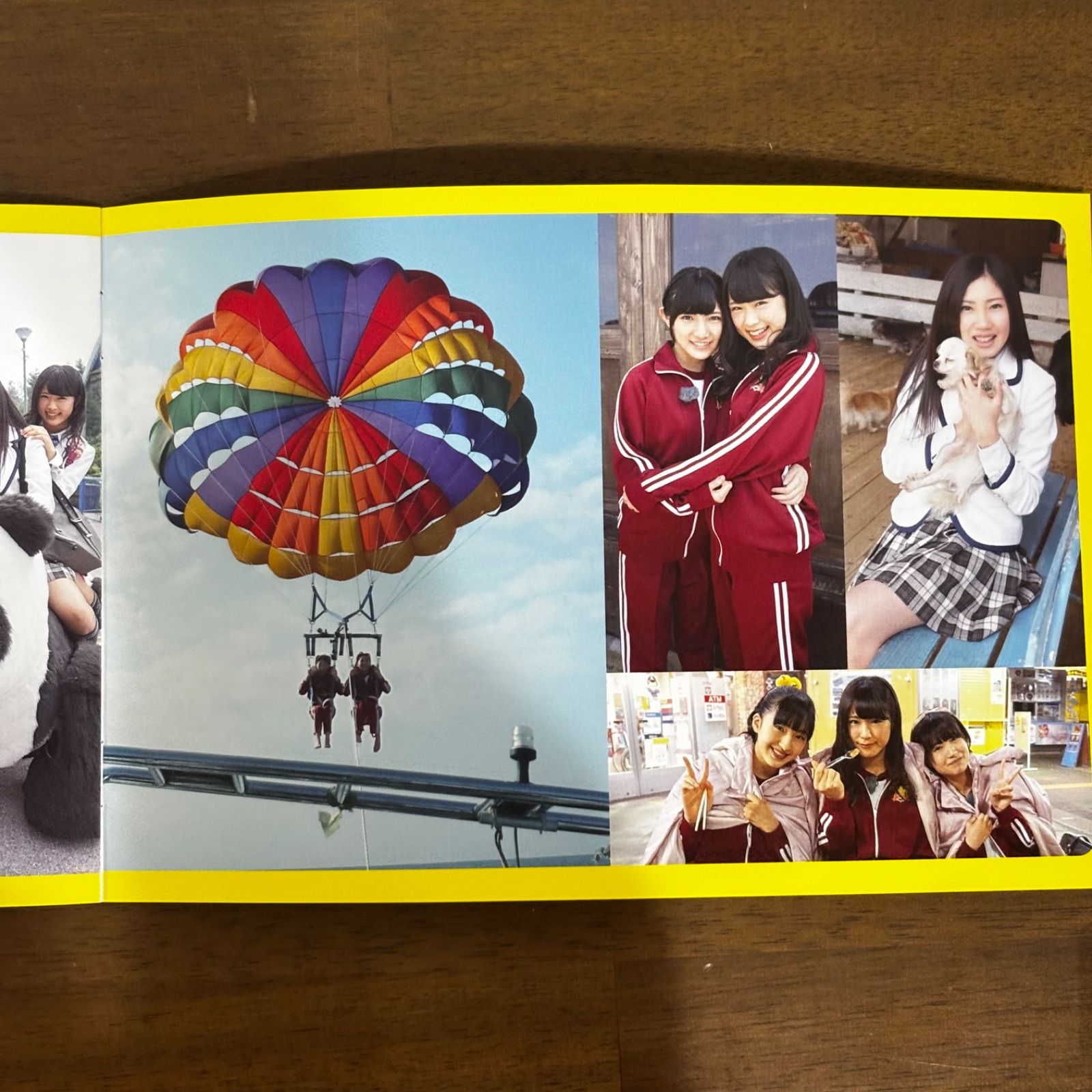 DVD HIGH SCHOOL GIRL'S POLICE #1 冊子・生写真付き AKB てんとうむ