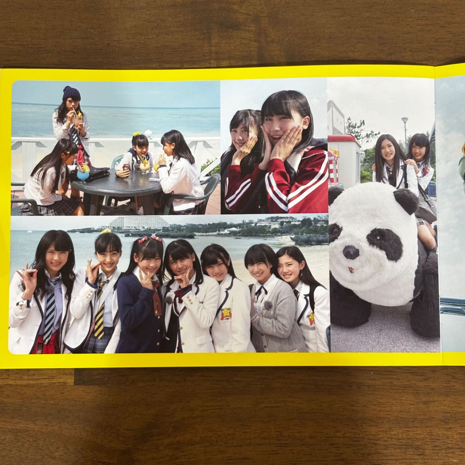 DVD HIGH SCHOOL GIRL'S POLICE #1 冊子・生写真付き AKB てんとうむ