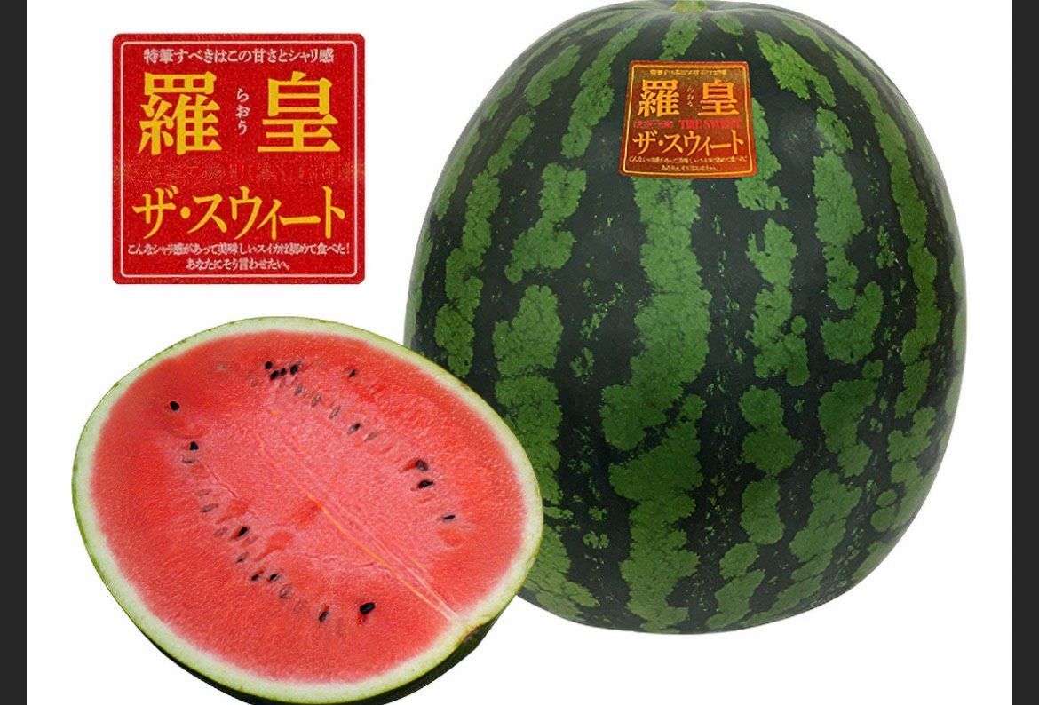【羅王ザ・スウィート】熊本県植木町産 西瓜 スイカ 大玉 １玉