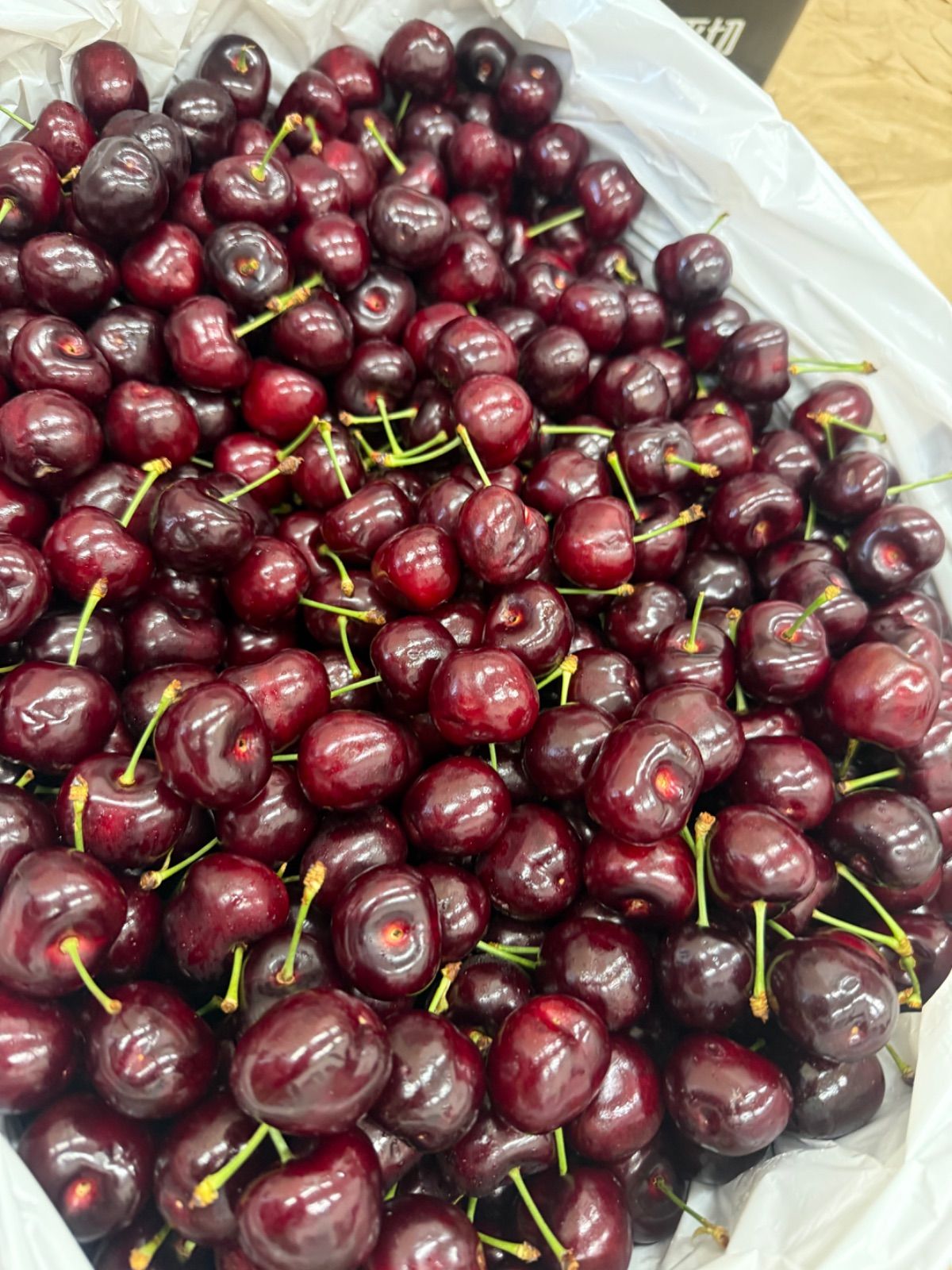 クール便】アメリカンチェリー 2kg 9.5row 超大粒 - メルカリ