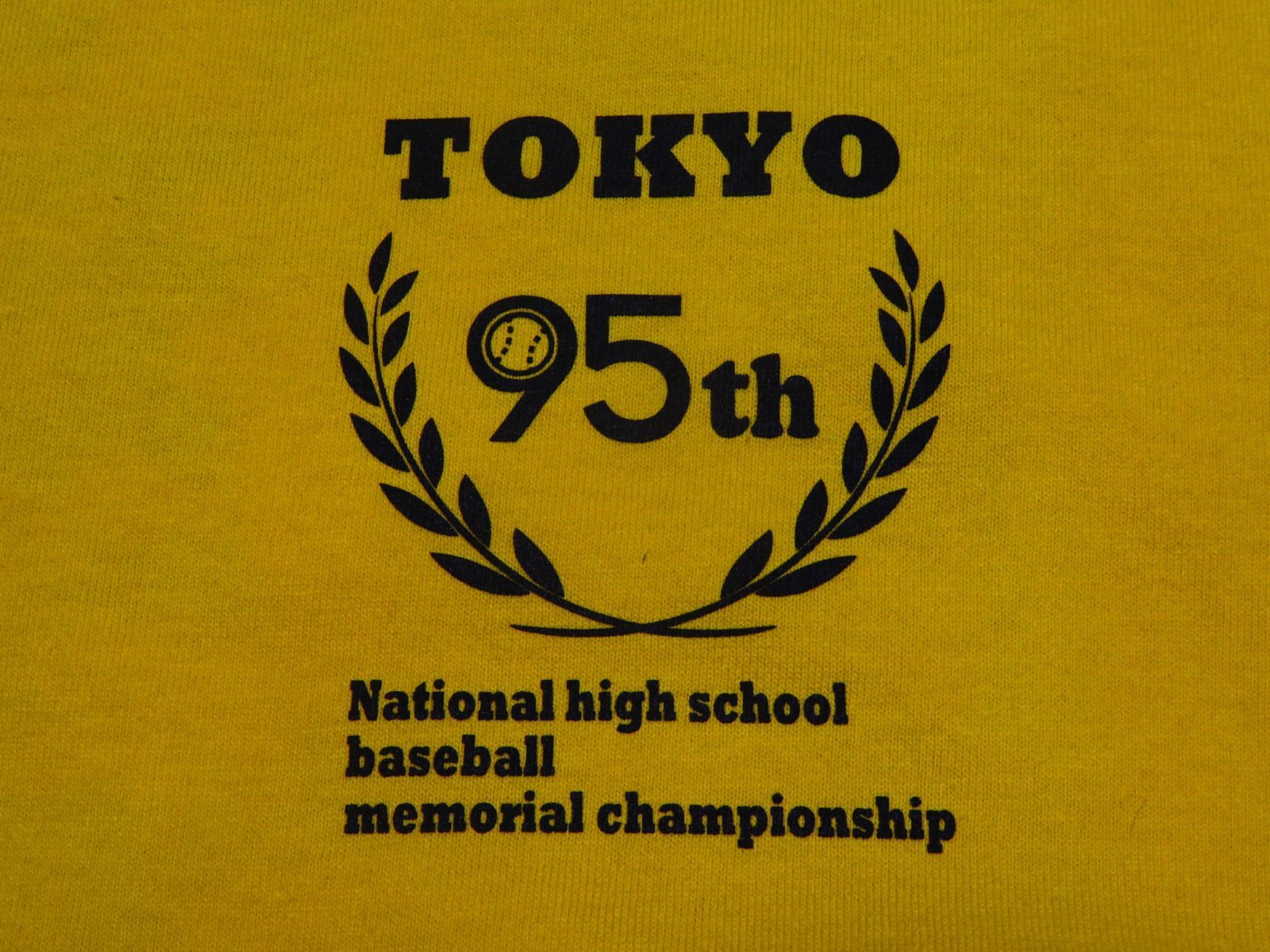 2013年 第95回 全国高校野球選手権大会 西東京大会 高校野球 甲子園 T 