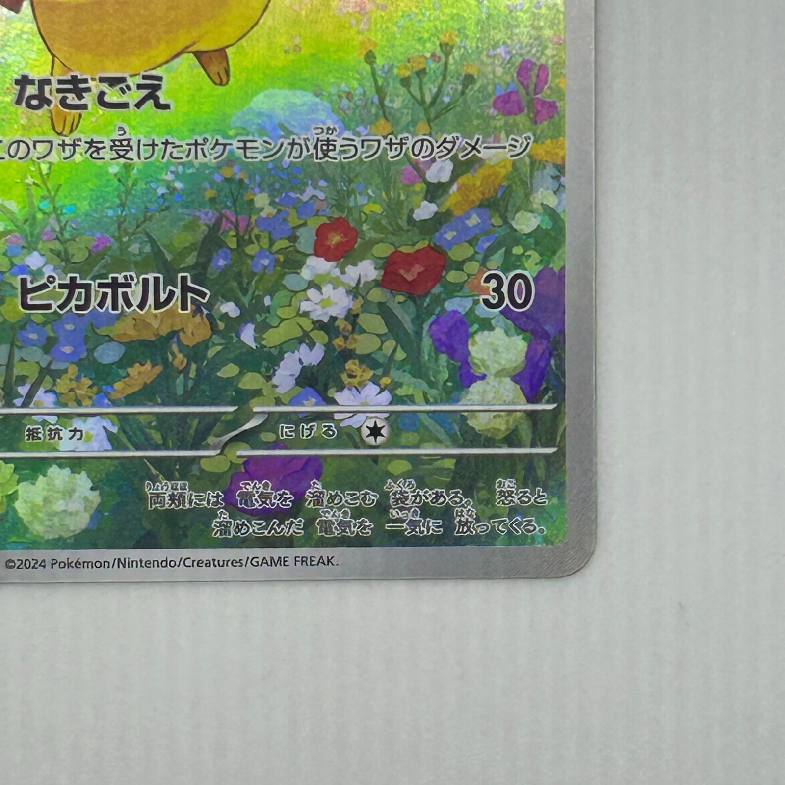 送料無料 ピカチュウ ポケカの夏がキタ！プロモカードGetキャンペーン 