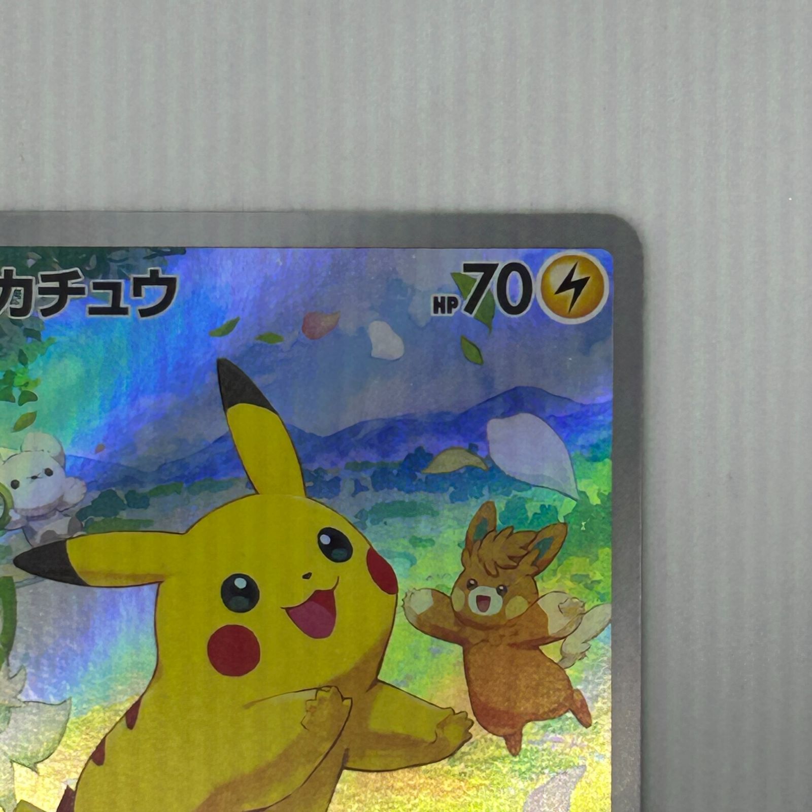 送料無料 ピカチュウ ポケカの夏がキタ！プロモカードGetキャンペーン 