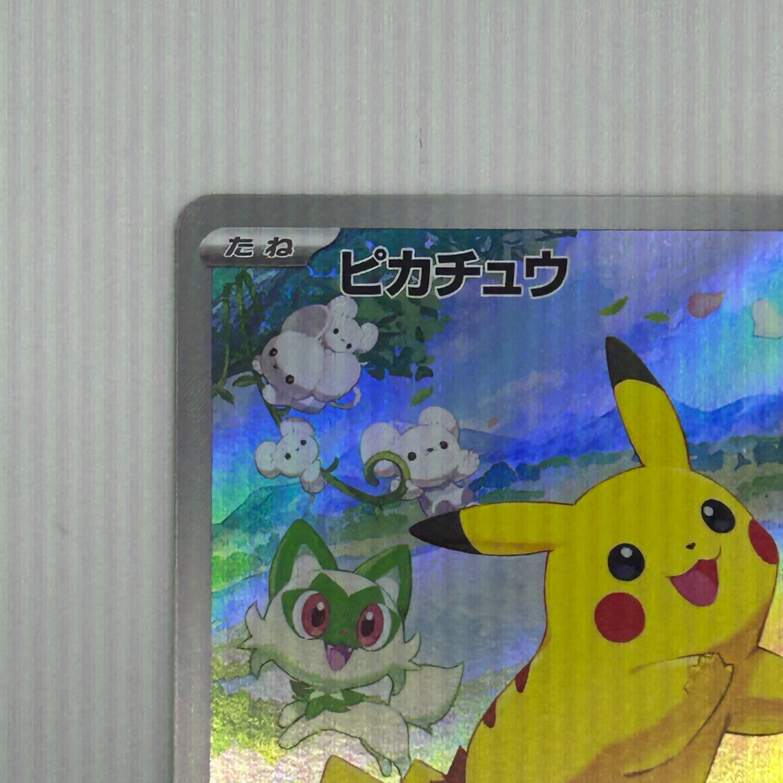 送料無料 ピカチュウ ポケカの夏がキタ！プロモカードGetキャンペーン 