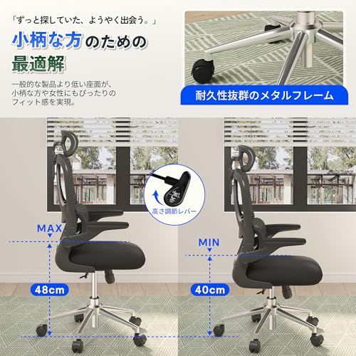 FLEXISPOT オフィスチェア デスクチェア OC6 人間工学 メッシュチェア