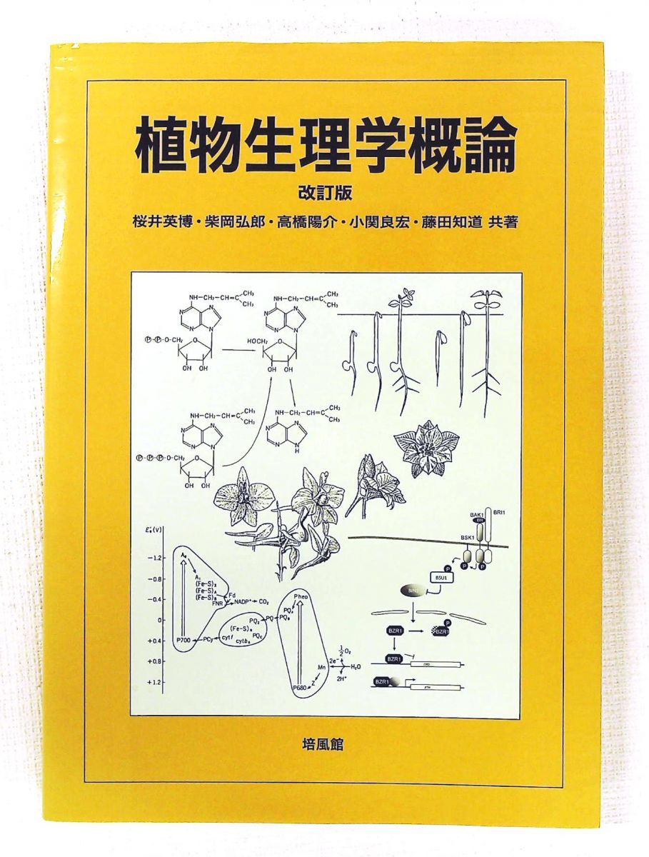 植物生理学概論 桜井 英博 培風館