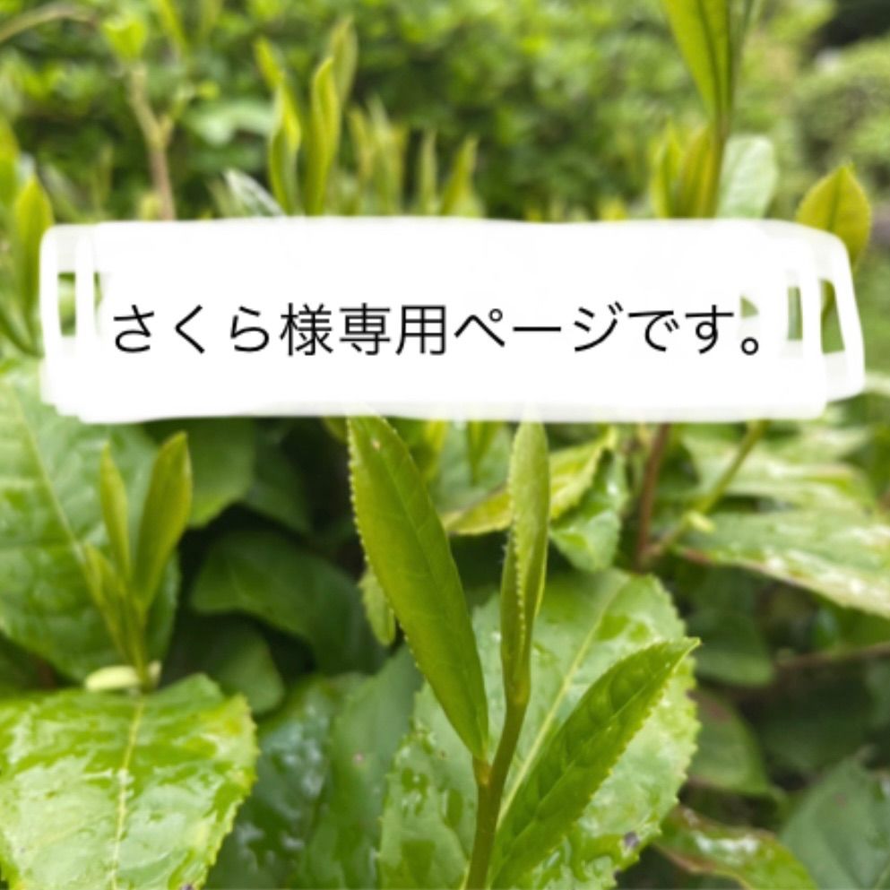 さくら様専用ページです、ありがとうございます。