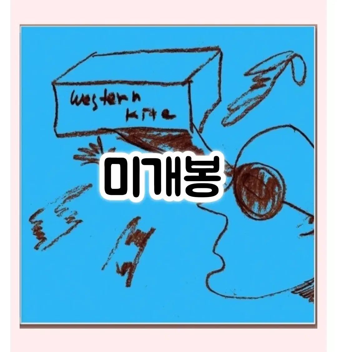 ウェストン カイト Western Kite 1 家 subtitle 未開封 CD