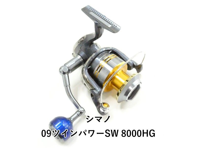 09 ツインパワー SW8000HG スピニングリール SHIMANO TWIN POWER