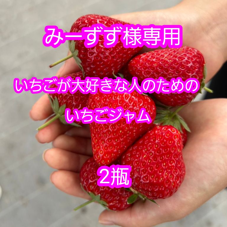 みなみ　紅玉　ジャム　4本、プラム　2本、ネクタリン　6本 新 デザイン食品・飲料・酒 - みなみ様専用 紅玉 ジャム 4本、プラム 2