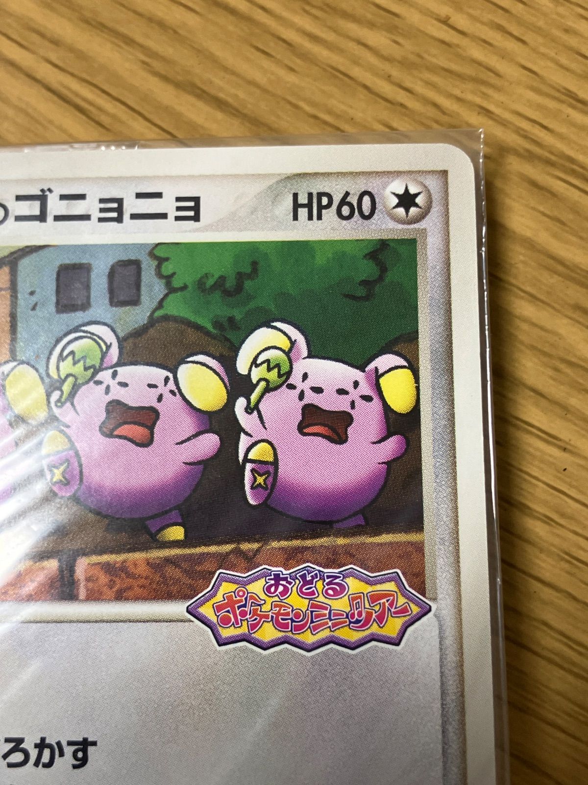 作品別 ポケットモンスター ポケパーク 2005 おどるポケモンミニツアー