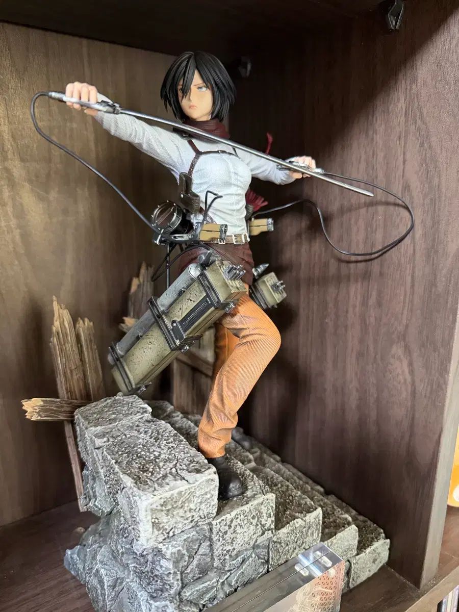 進撃 の 巨人 ミカサ