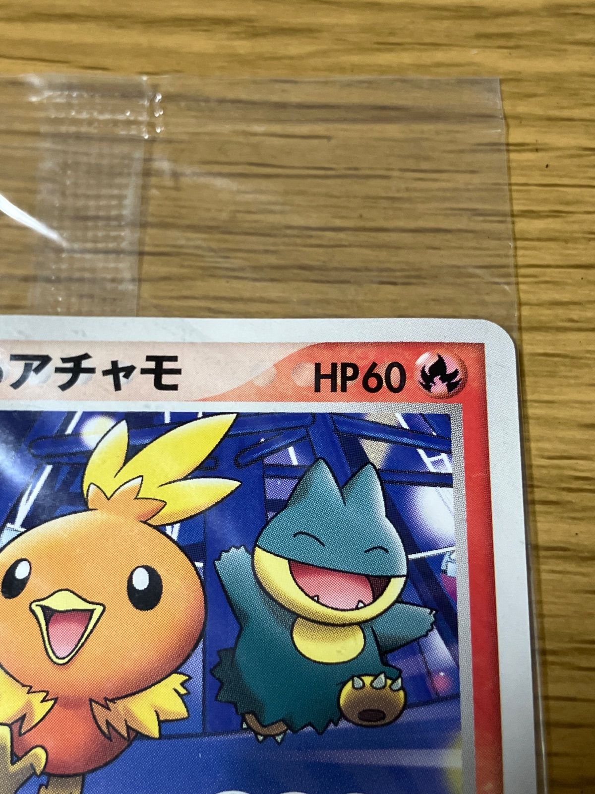 ポケパークのアチャモ 047/PCG-P ポケモン大観覧車 ポケパーク