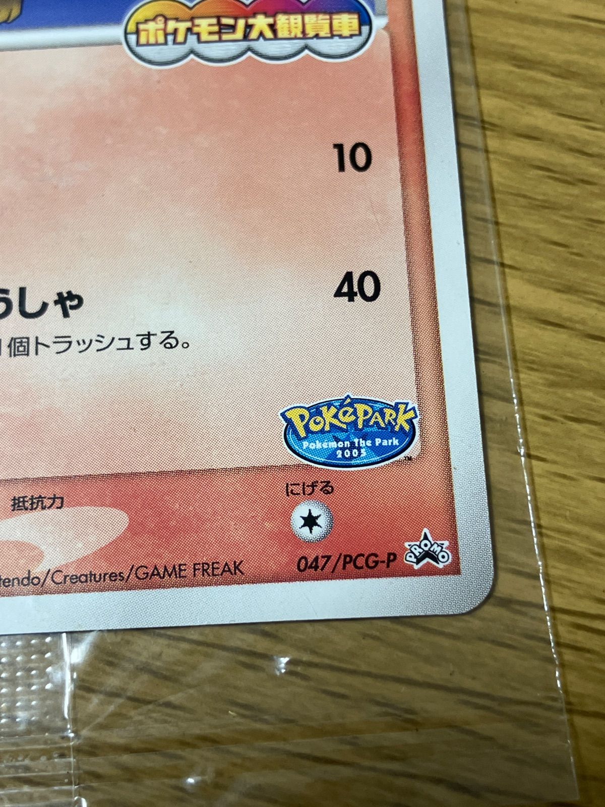 ポケパークのアチャモ 047/PCG-P ポケモン大観覧車 ポケパーク