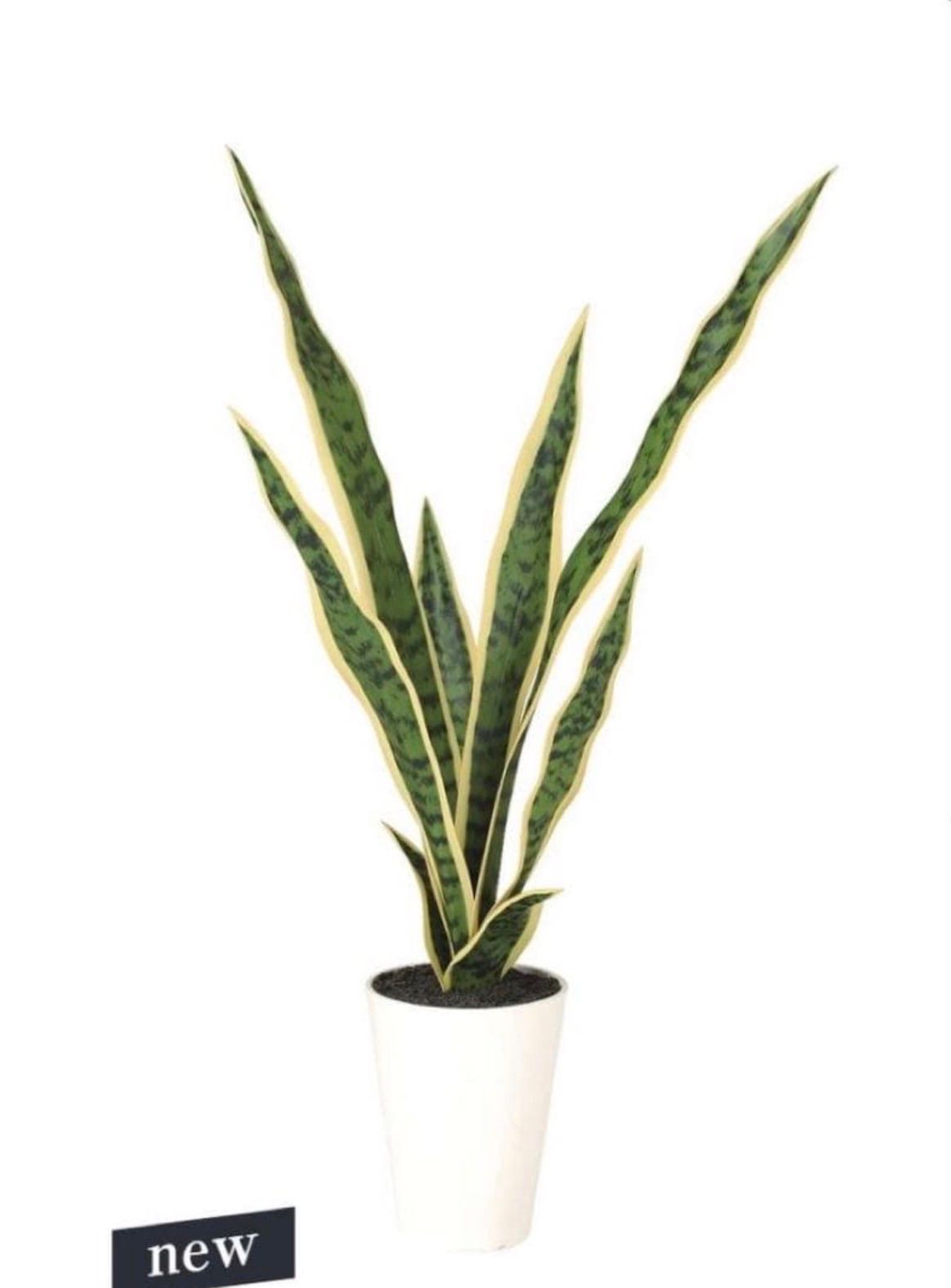 光触媒 人工観葉植物 ウォールグリーン フェイクグリーン サンスベリア65@@