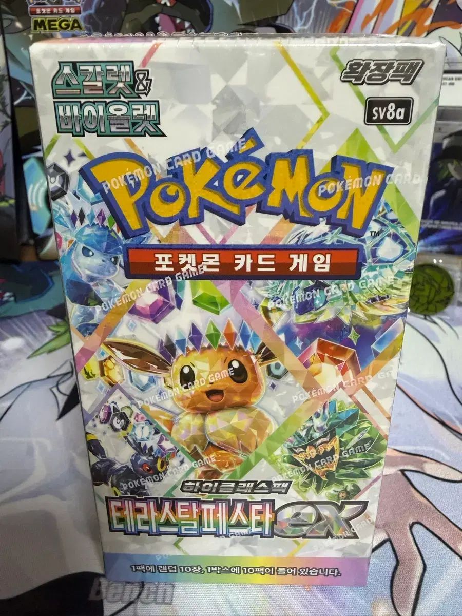 テラスターフェスタ シューリング