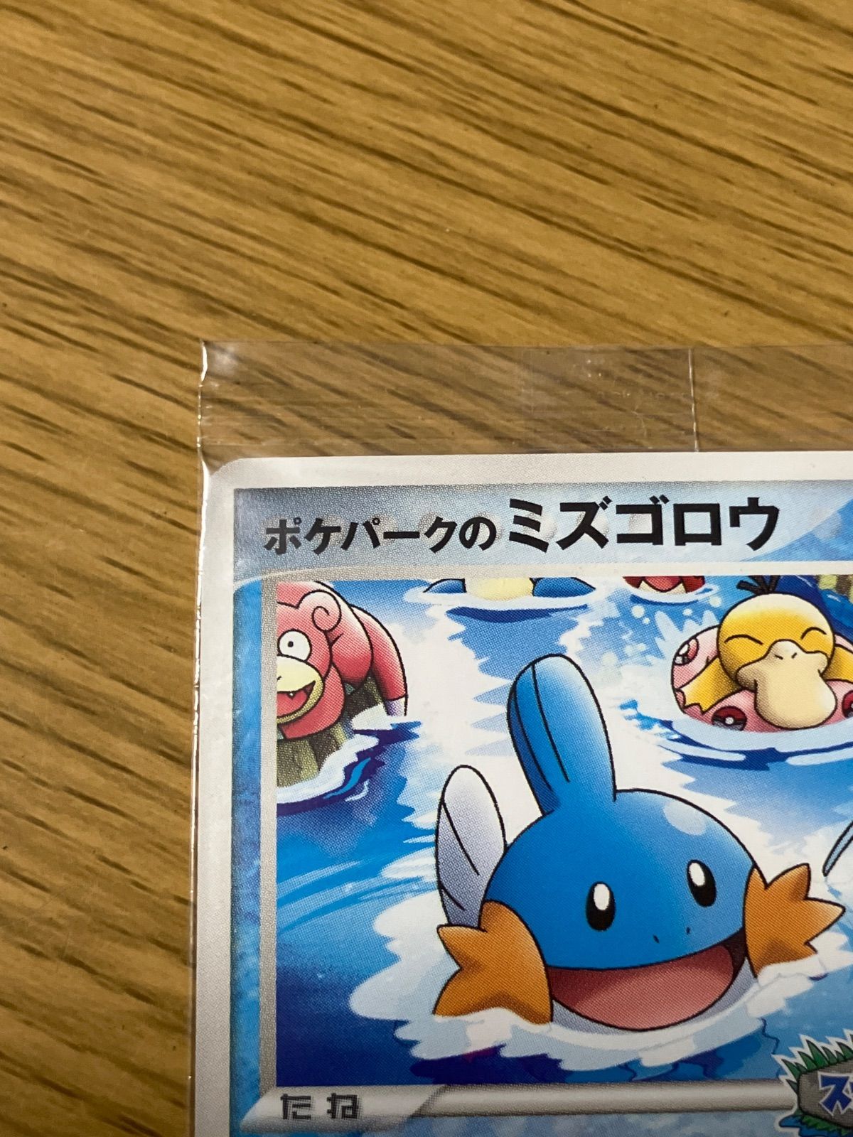 ポケパークのミズゴロウ 048/PCG-P スプラッシュアドベンチャー