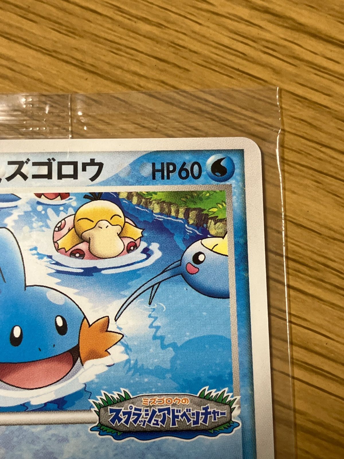 ポケパークのミズゴロウ 048/PCG-P スプラッシュアドベンチャー