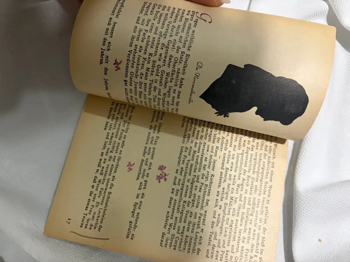 ロード・チェスターフィールド 本 (ドイツ語) 3巻セット