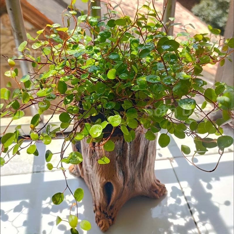 鉢・プランター 植木鉢 ポット 鉢カバー 観葉植物 木製風 切り株デザイン ラスティック かわいい おしゃれ ナチュラル モダン シンプル インテリア 北欧 屋内屋外 排水穴付き ガーデンデコレーション ギフト