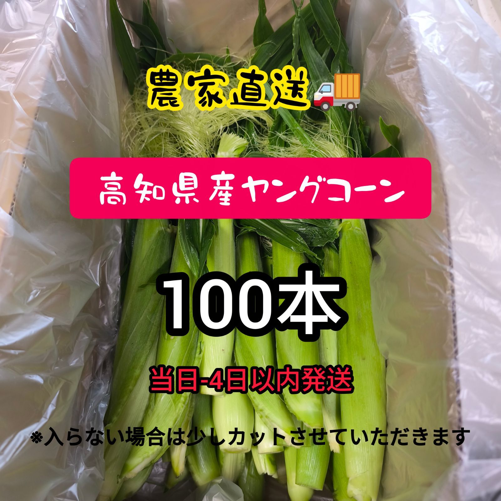 【農家直送】高知県産ヤングコーン100本 常温便