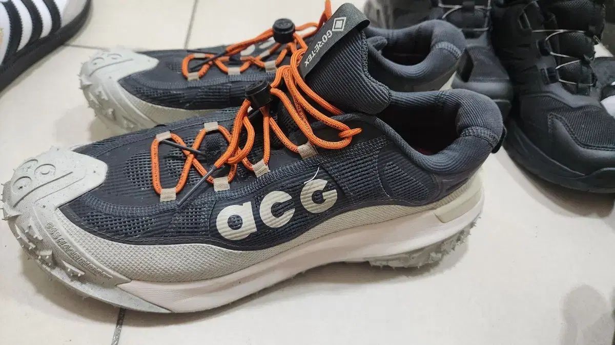 ACG マウンテン フライ ロー ゴアテックス 290 (280も履けます)