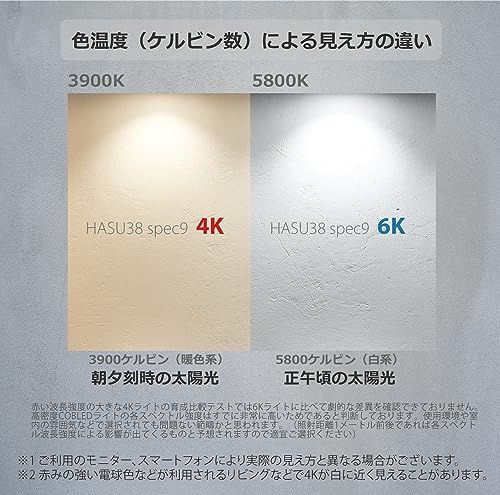 HaruDesign 植物育成ライト HASU38 spec9 4K ブラックスワールボディ 暖色系（4000K）McウェーブLED搭載 フルスペクトル フリッカーフリー 製品3年保証as 62886ee3
