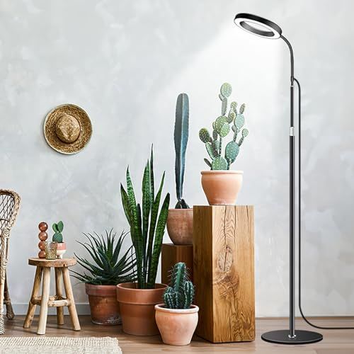 [pronala]植物育成ライト スタンドライト 6インチ天使リング スタンド式 全スペクトルLED 3モードタイマー（3時間/9時間/12時間）10段階調光 伸縮高さ130-170cm 多肉植物/観葉植物対応 室内園芸 鉢植え栽培サポートa 4eeaea8a