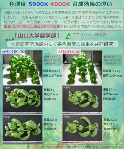 HaruDesign 植物育成ライト GL-A 4K McW ブラックボディ 暖色系(4000K)McウェーブLED搭載(広角レンズ付)フルスペクトル フリッカーフリー 製品3年保証as 70839a48 HaruDesign 植物育成ライト GL-A 4K McW ブラックボディ 暖色系(4000K)McウェーブLED搭載(広角レンズ付)フルスペクトル フリッカーフリー 製品3年保証as 70839a48