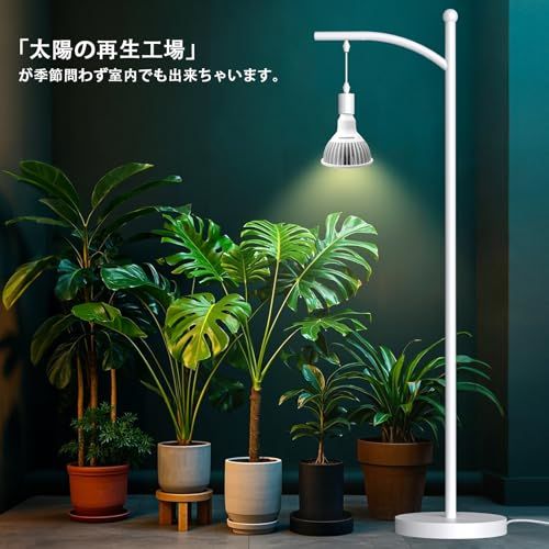 植物育成ライト, E26 ランプ口, 24Wスポットライト,フルスペクトル,高演色性,LED育成電球,ビーム角38度,昼光色4000K (ホワイトハウジング)as a54f1099