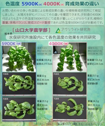 HaruDesign 植物育成ライト GL-A 4K McW マットホワイトボディ 暖色系(4000K)McウェーブLED搭載(広角レンズ付)フルスペクトル フリッカーフリー 製品3年保証as 066b7486 HaruDesign 植物育成ライト GL-A 4K McW マットホワイトボディ 暖色系(4000K)McウェーブLED搭載(広角レンズ付)フルスペクトル フリッカーフリー 製品3年保証as 066b7486