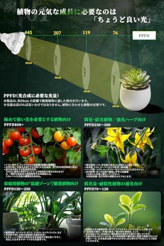 NISSYO 【2026年最新型植物育成ライト・日本正規品】 植物育成LED E26 フルスペクトル 20W CRI95 高演色 4000K 自然光 植物ライト 室内 観葉植物 多肉 育苗用 均一照射 陶器ボディ AC100V PSE認証as cee82faf
