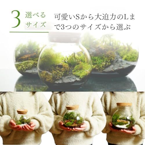 【制作キット】【石畳が作れる】 S:10cm 霧吹き・ピンセット LEDライト付 苔テラリウム プレゼント 作成キット 苔セット 苔 制作 ハンドメイド 自作キット 手作り ギフトas bac544d2