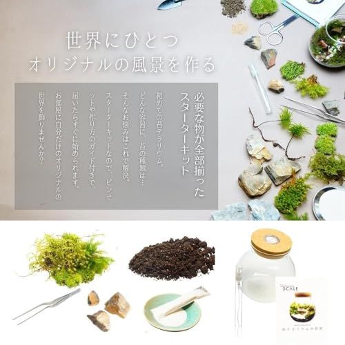 【スターターキット】 S：10ｃｍ LEDライト付 苔テラリウム 作成キット 苔セッ ト 白砂 カラーサンド ハンドメイド 自作キット 手作り ギフトas b6fc2146