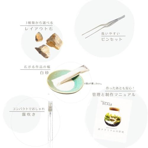 【スターターキット】 S：10ｃｍ LEDライト付 苔テラリウム 作成キット 苔セッ ト 白砂 カラーサンド ハンドメイド 自作キット 手作り ギフトas b6fc2146
