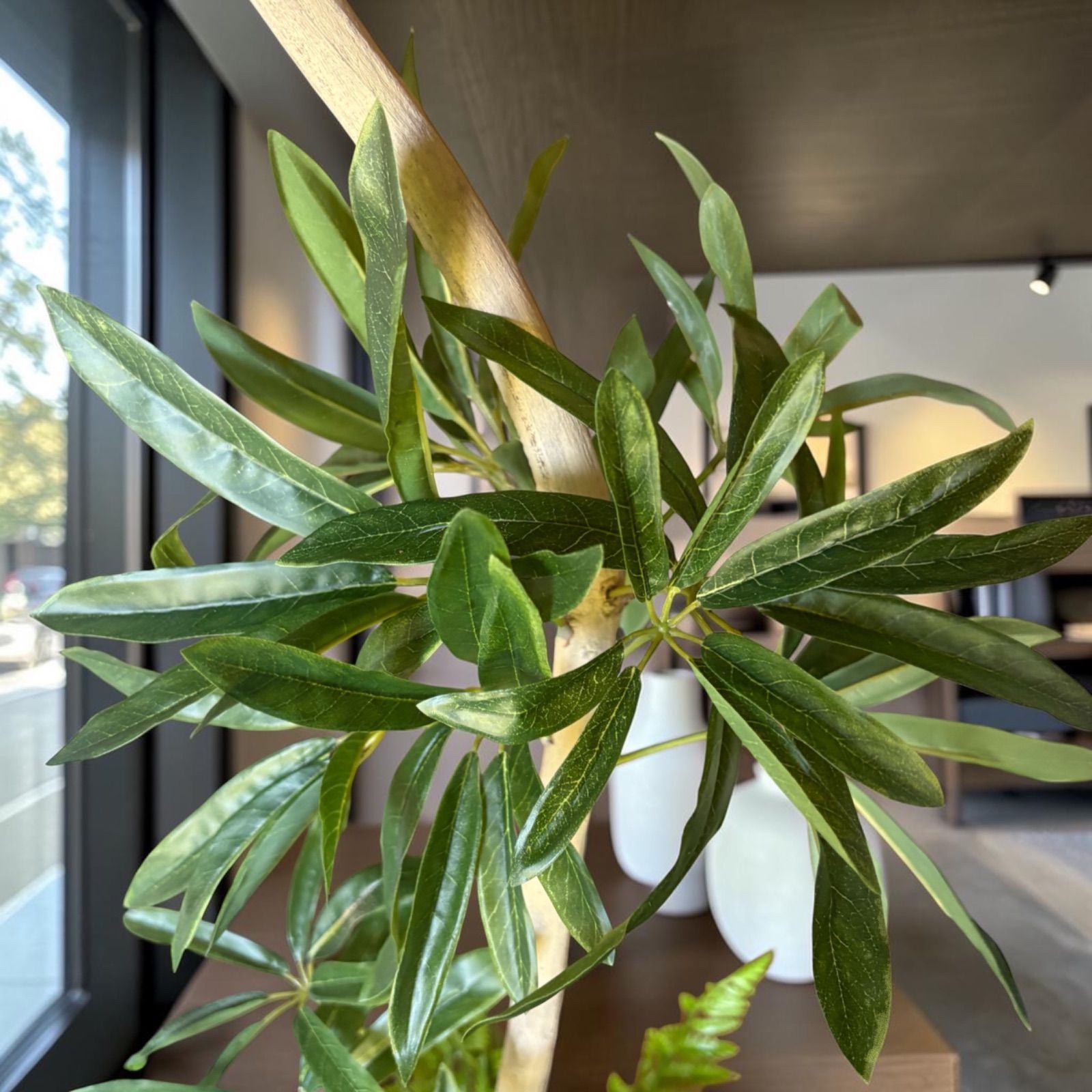 光触媒 人工観葉植物 ウォールグリーン フェイクグリーン シェフレラ