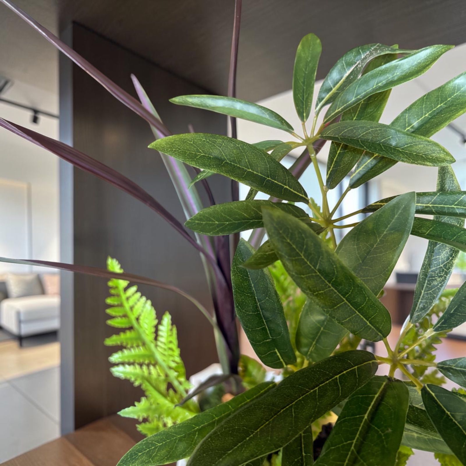 光触媒 人工観葉植物 ウォールグリーン フェイクグリーン シェフレラ