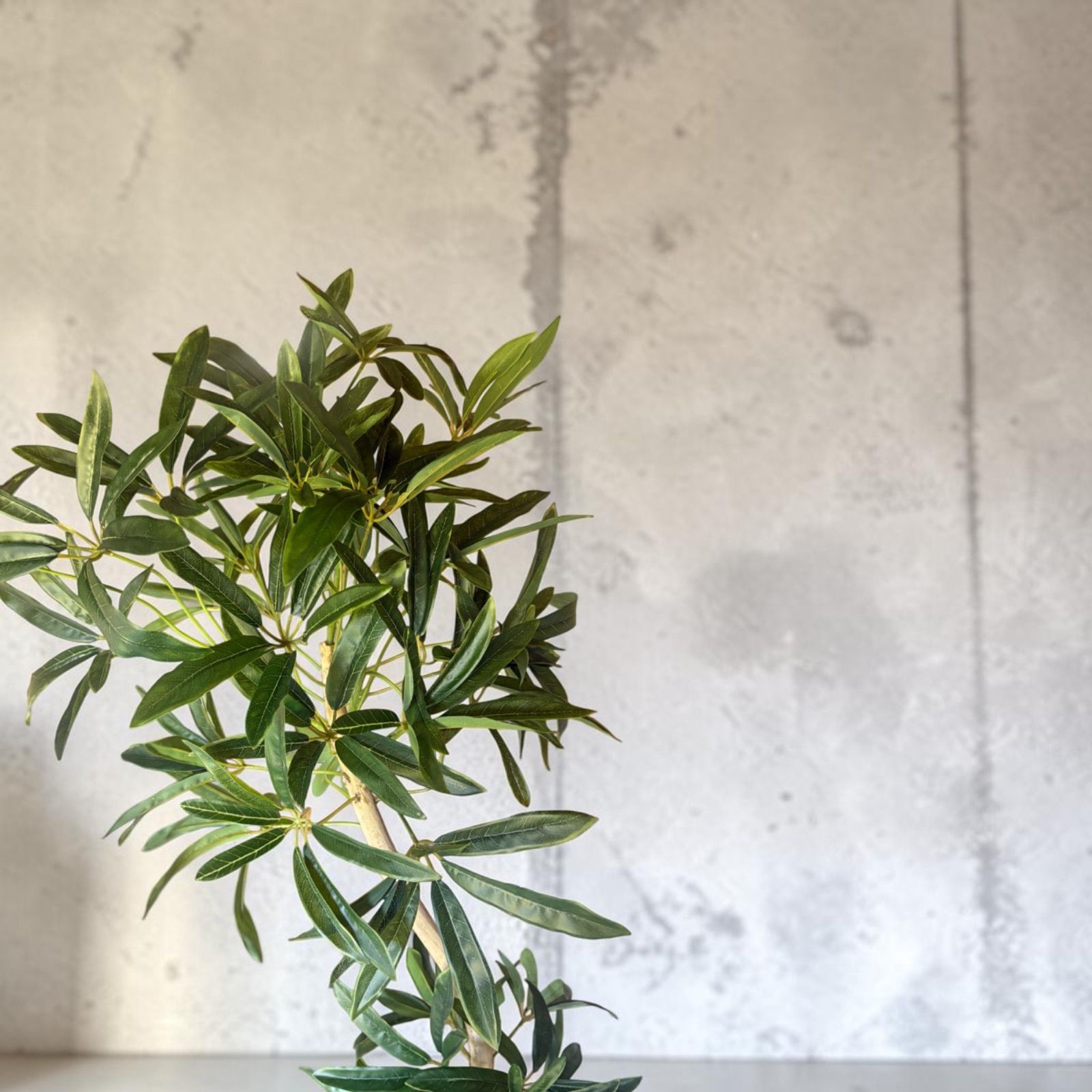 光触媒 人工観葉植物 ウォールグリーン フェイクグリーン シェフレラ