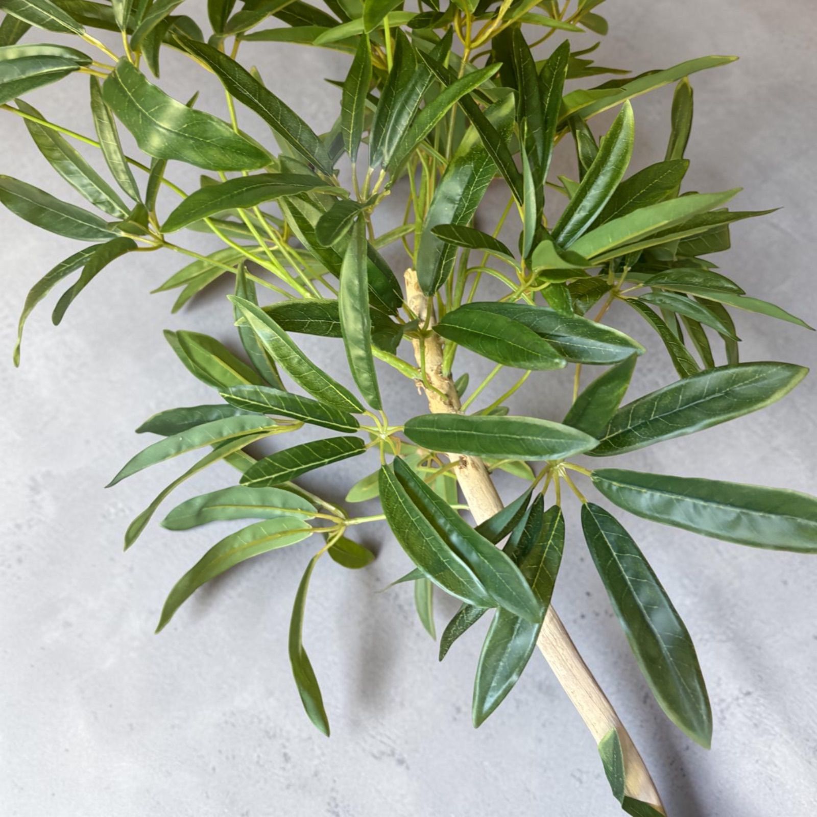 光触媒 人工観葉植物 ウォールグリーン フェイクグリーン シェフレラ 